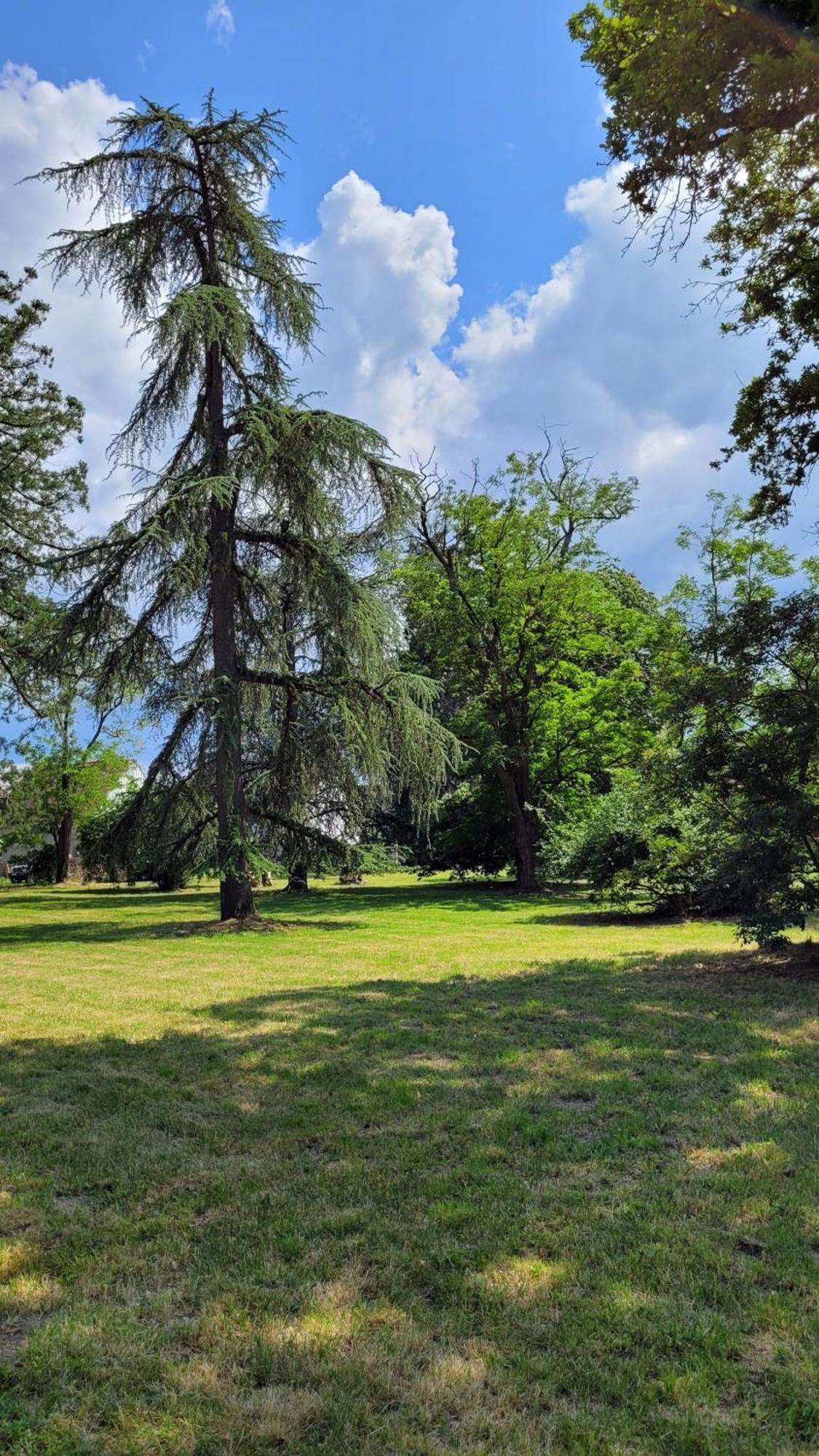 Villa Saint Pierre La Trimouille Exteriér fotografie